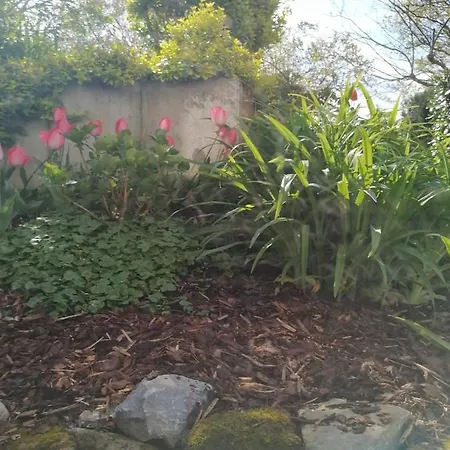 Desire היידלברג