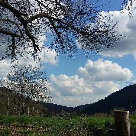 Orman Evi Desire