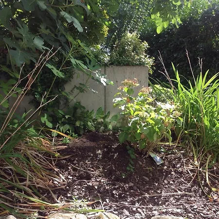 Desire היידלברג