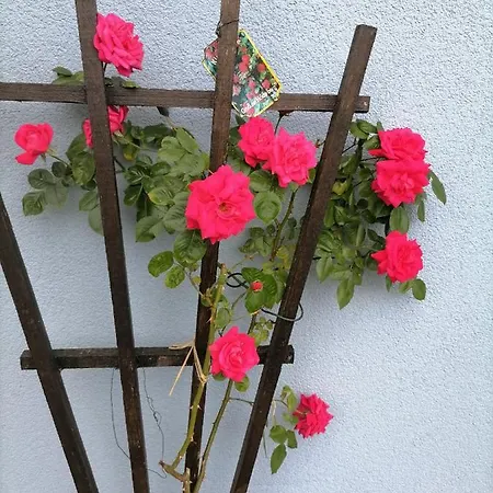 Desire אכסניה *