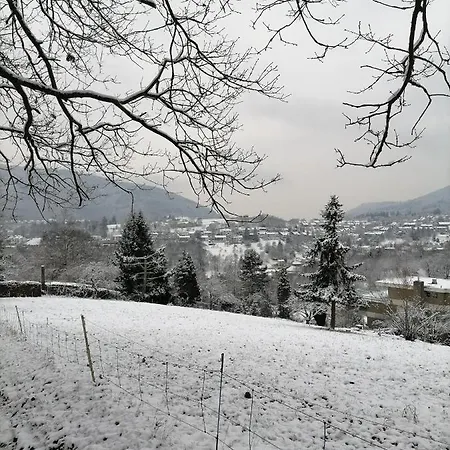 Desire * Heidelberg
