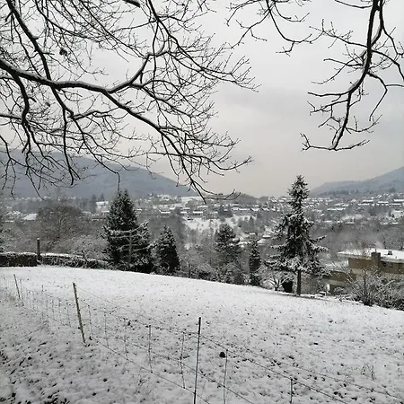 Desire * היידלברג