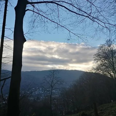 אכסניה Desire היידלברג