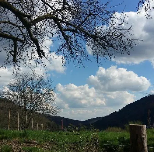 بيت خشبي Desire