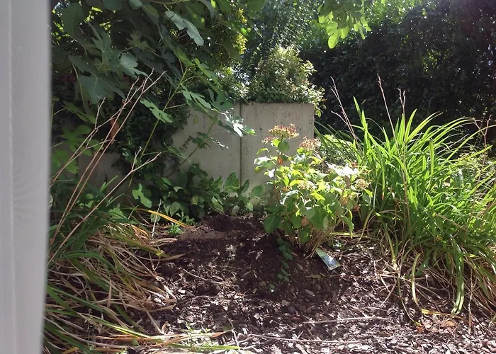 Desire Хайдельберг