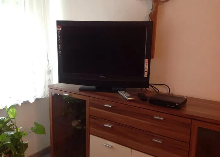 Desire Хайдельберг