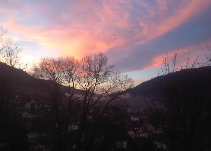 بيت خشبي Desire *