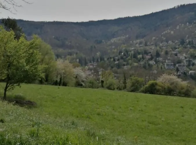 Деревянный коттедж Desire *