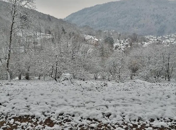 بيت خشبي Desire