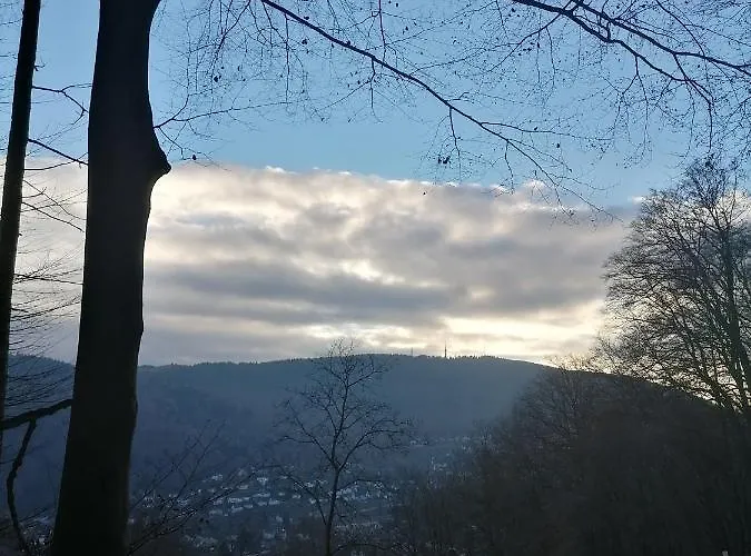 Деревянный коттедж Desire Хайдельберг