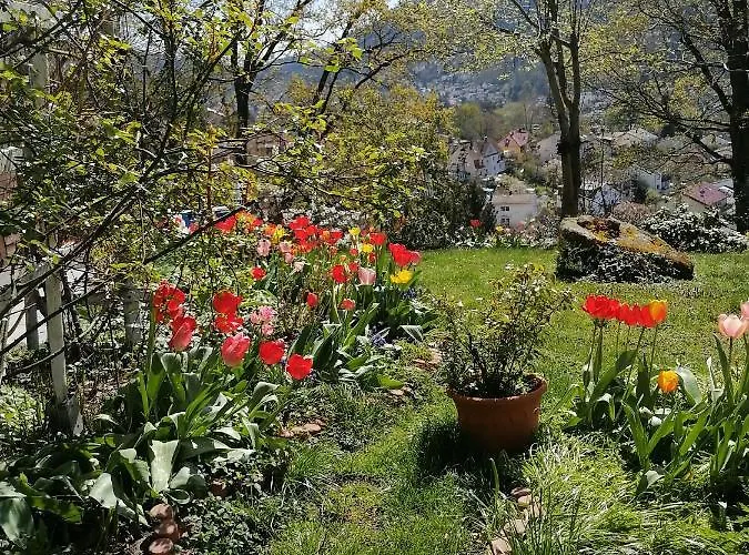 Desire Деревянный коттедж *