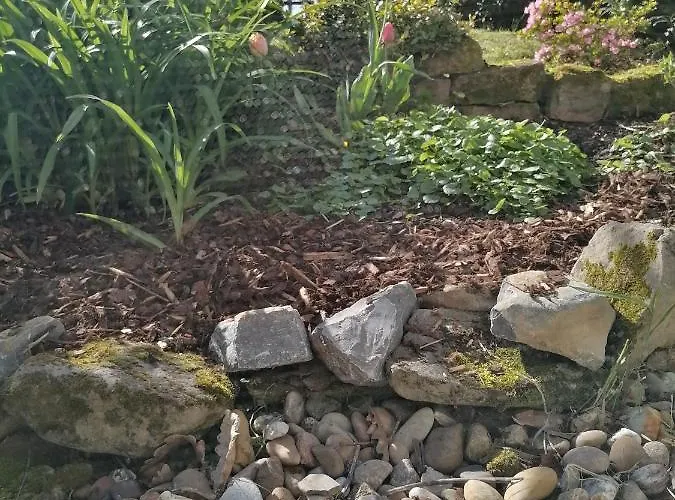 Desire * هايدلبرغ